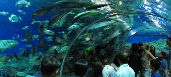 Underwater World indoor aquarium in Pattaya