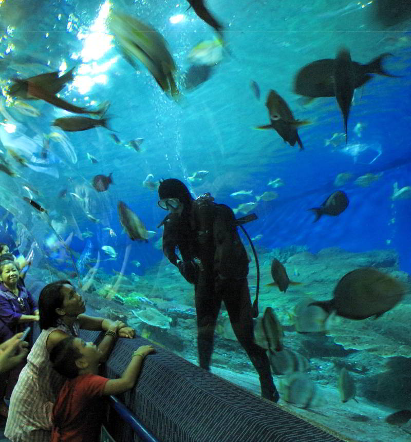 pattaya tourist attraction - underwater world